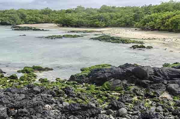 125 - Ecuador - islas Galapagos - islote Las Tintoreras